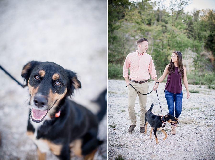 Close up of dog engagement photo by Knoxville Wedding Photographer, Amanda May Photos.