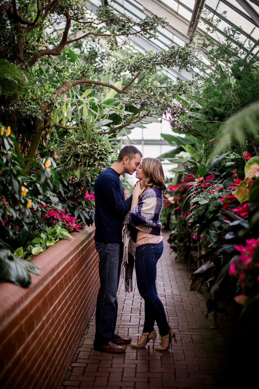Standing in the aisle of a greenhouse engagement photo by Knoxville Wedding Photographer, Amanda May Photos.