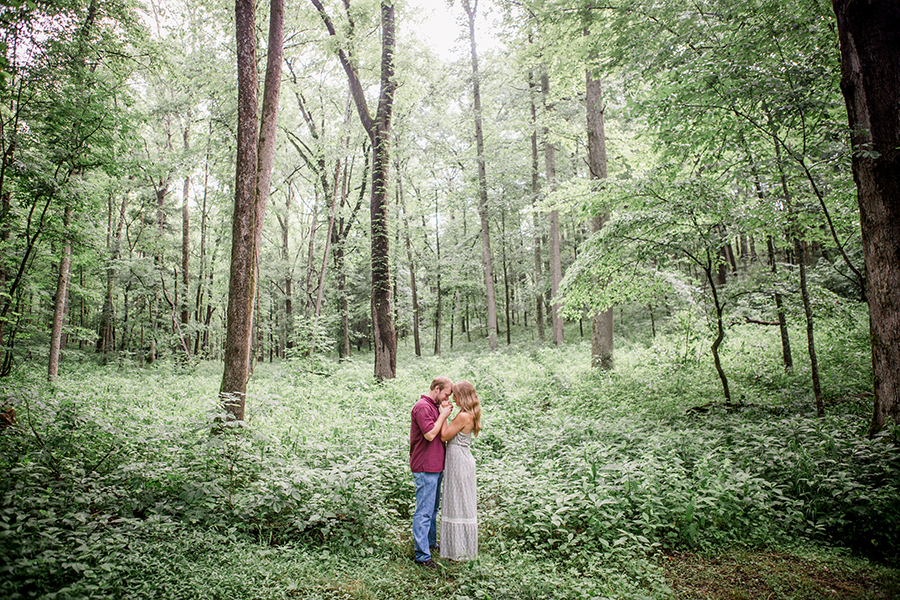 Standing in a forest engagement photo by Knoxville Wedding Photographer, Amanda May Photos.
