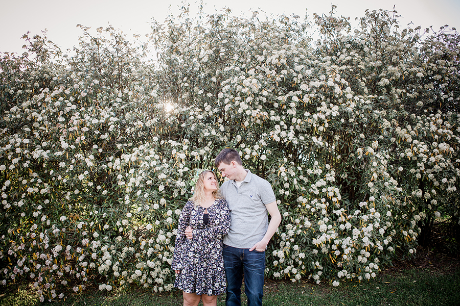 Standing in front of shrub of flowers engagement photo by Knoxville Wedding Photographer, Amanda May Photos.