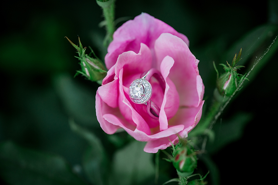 Ring in a flower engagement photo by Knoxville Wedding Photographer, Amanda May Photos.