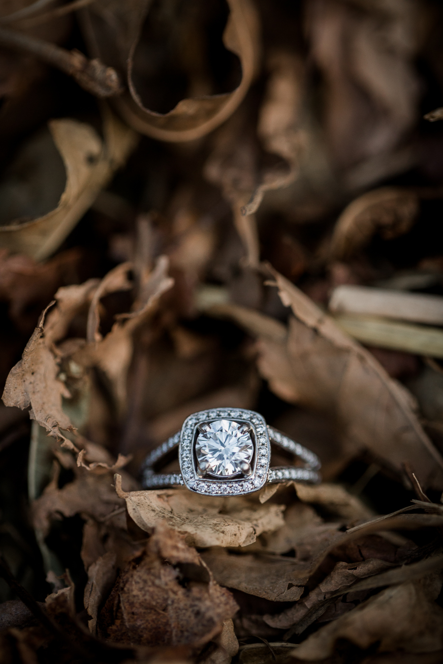 Engagement ring in the leaves engagement photo by Knoxville Wedding Photographer, Amanda May Photos.