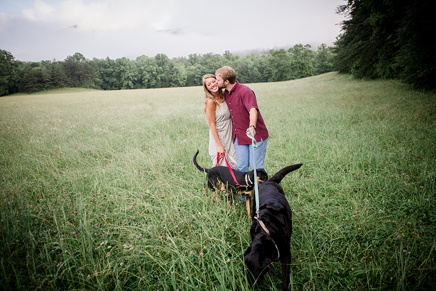 Two dogs on leashes engagement photo by Knoxville Wedding Photographer, Amanda May Photos.