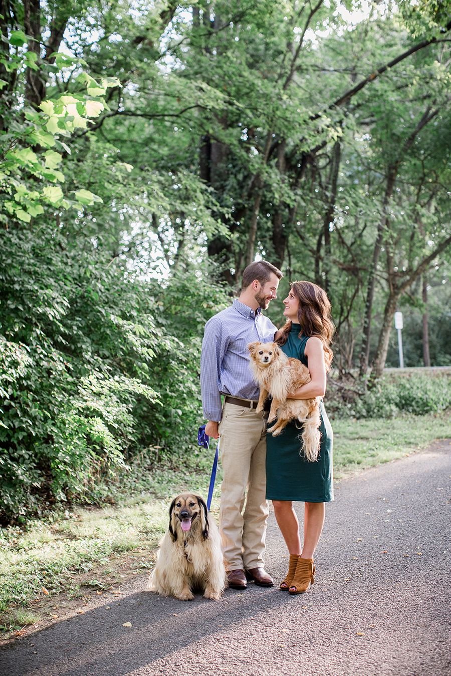 Two dogs by Knoxville Wedding Photographer, Amanda May Photos.