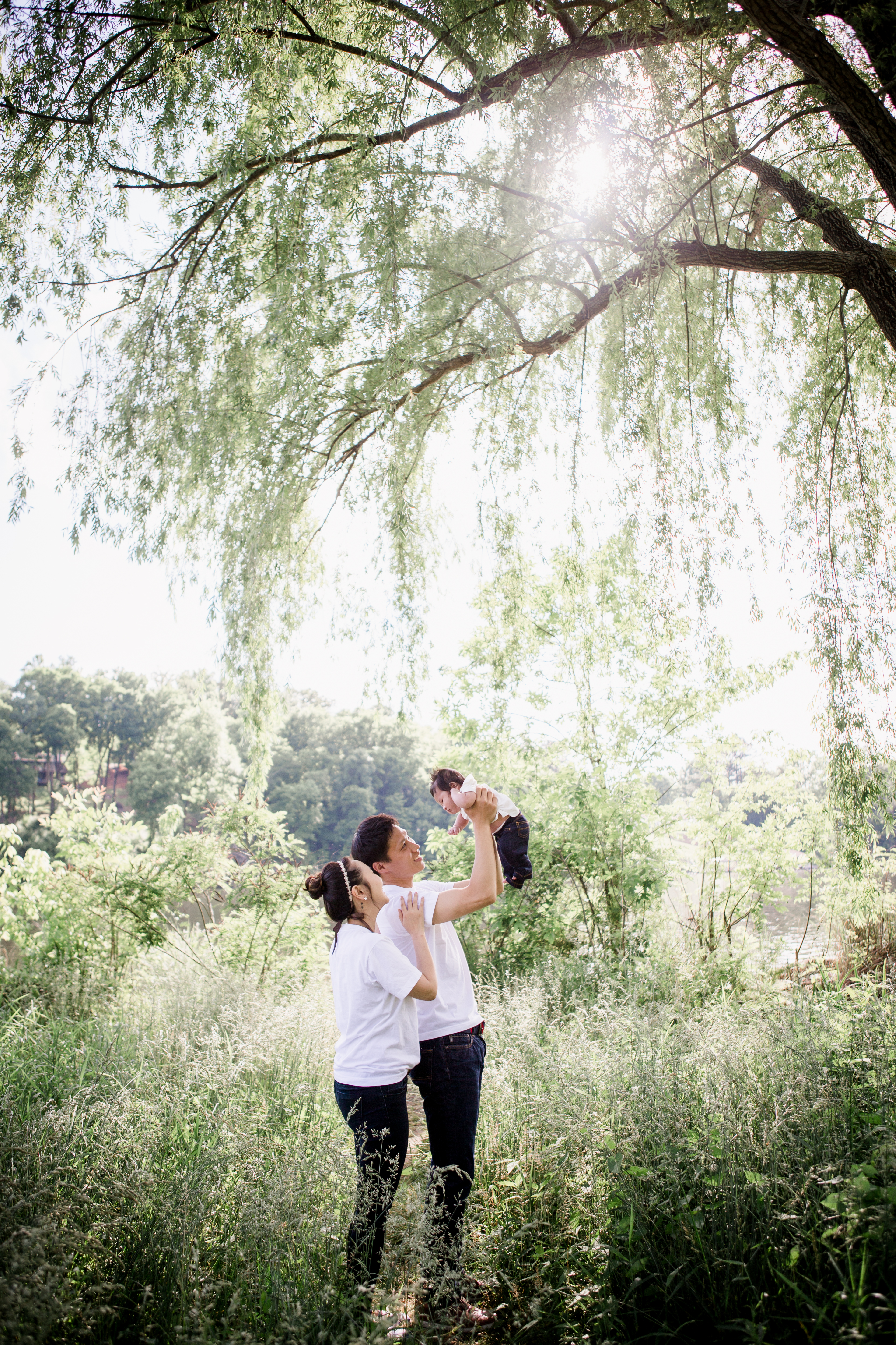 Under a weeping willow by Knoxville Wedding Photographer, Amanda May Photos.