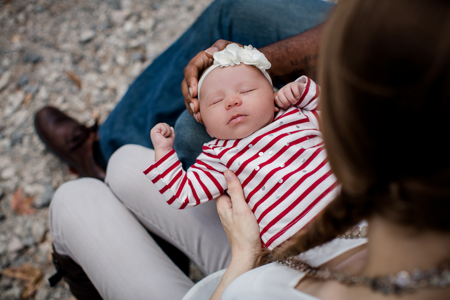 Baby in mom and dad's lap by Knoxville Wedding Photographer, Amanda May Photos.