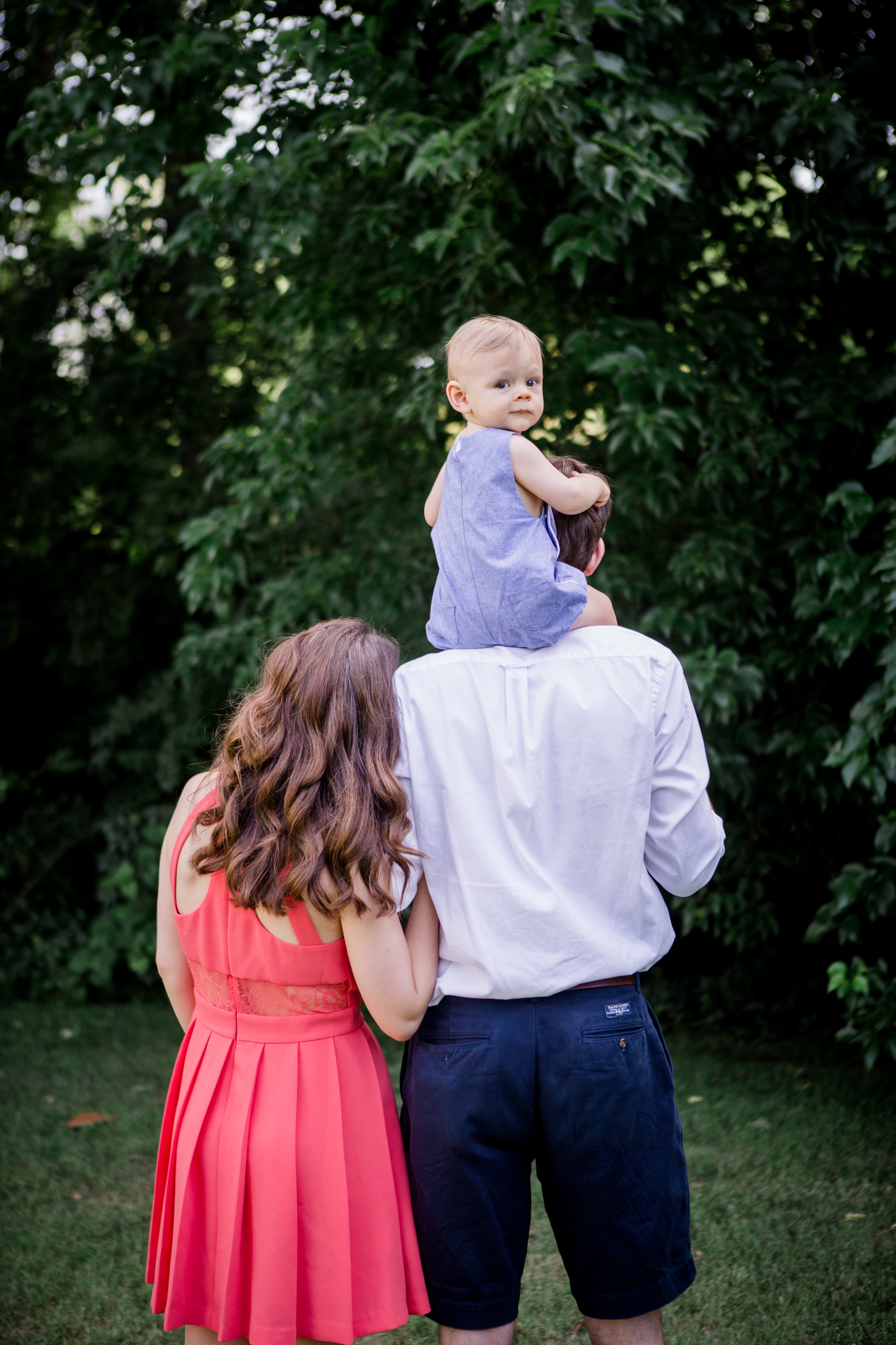 Little boy on dads shoulders by Knoxville Wedding Photographer, Amanda May Photos.