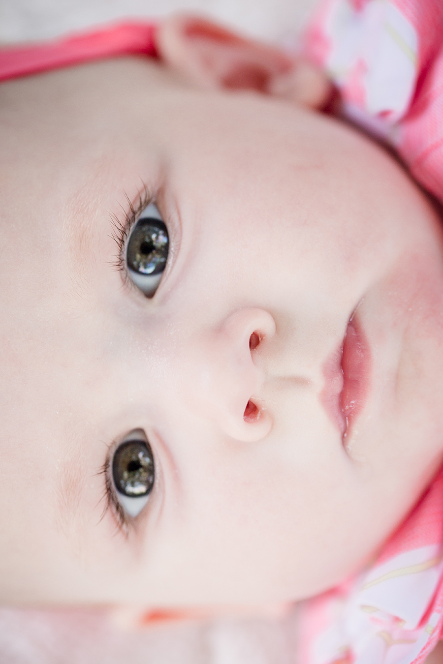 Close up of baby's face by Knoxville Wedding Photographer, Amanda May Photos.