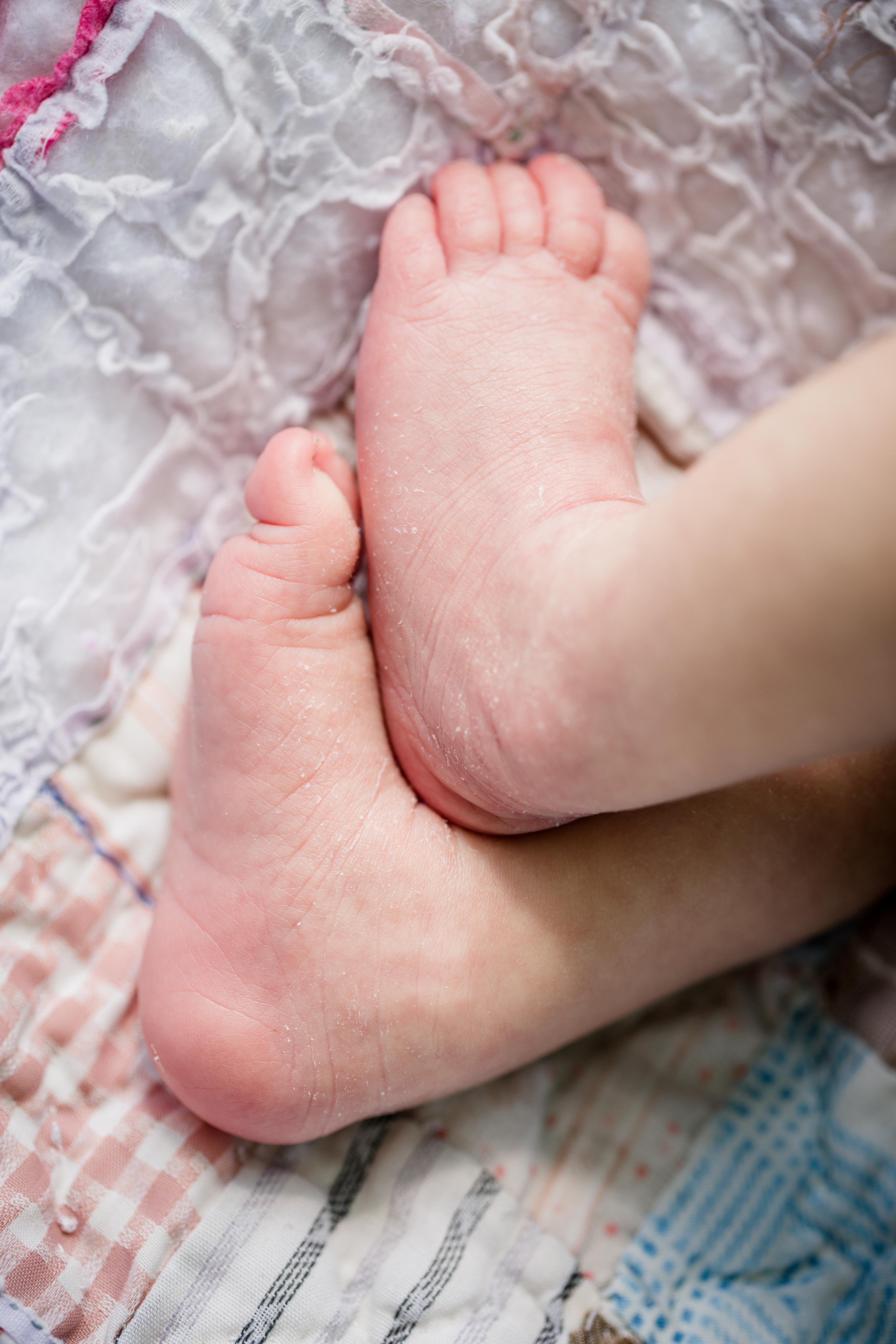 Newborn feet on quilt by Knoxville Wedding Photographer, Amanda May Photos.