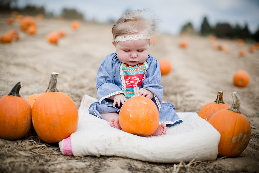 Playing with her pumpkin by Knoxville Wedding Photographer, Amanda May Photos.