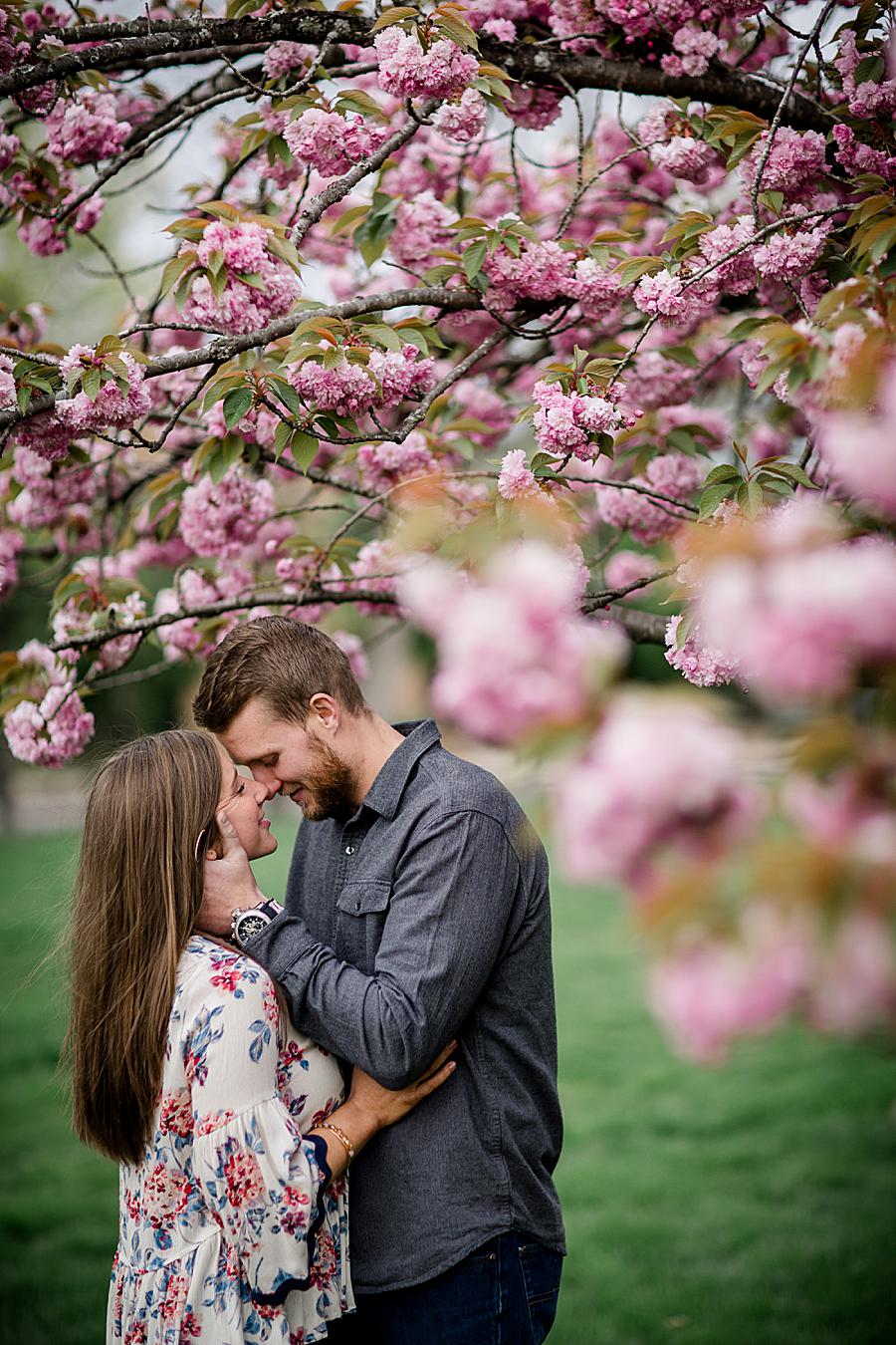 Cherry blossoms at this 2018 favorite engagements by Knoxville Wedding Photographer, Amanda May Photos.