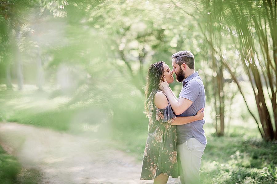 Knoxville Botanical Gardens at this 2018 favorite engagements by Knoxville Wedding Photographer, Amanda May Photos.