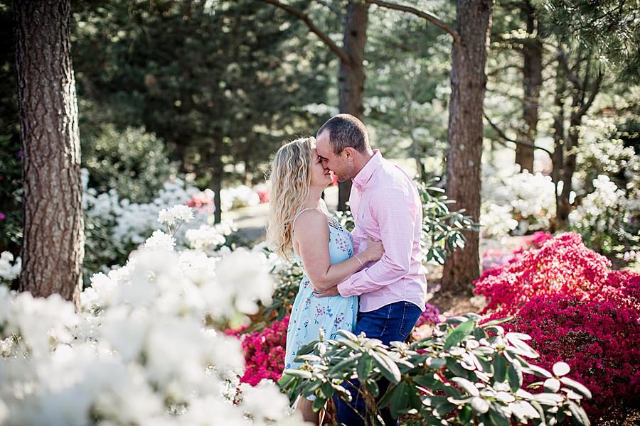 Azaleas at this 2018 favorite engagements by Knoxville Wedding Photographer, Amanda May Photos.
