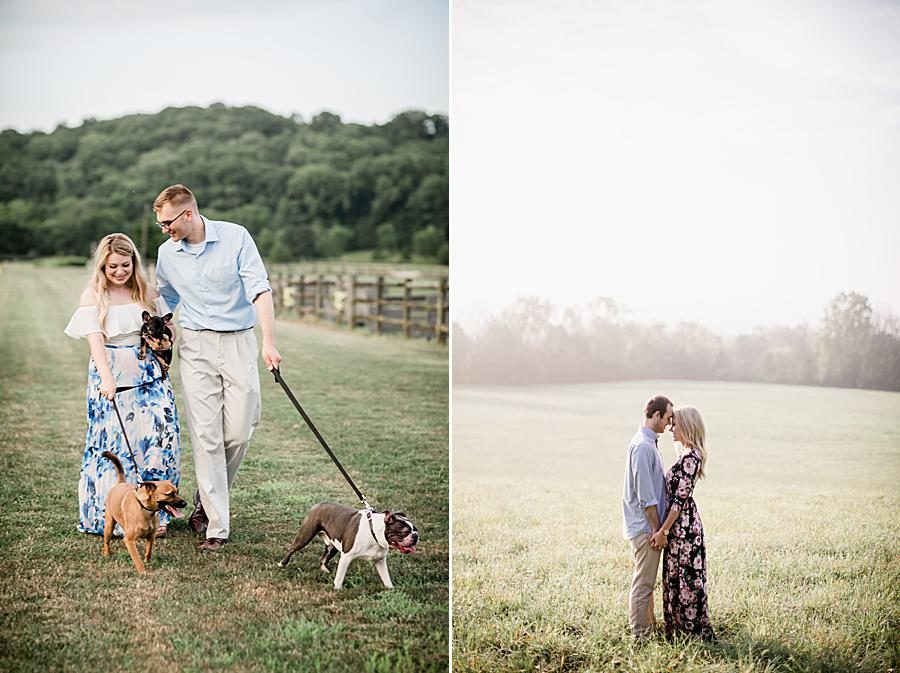 Family dog at this 2018 favorite engagements by Knoxville Wedding Photographer, Amanda May Photos.