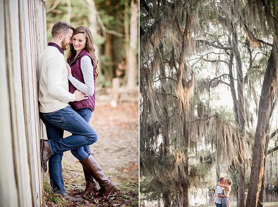 Spanish moss at this 2018 favorite engagements by Knoxville Wedding Photographer, Amanda May Photos.