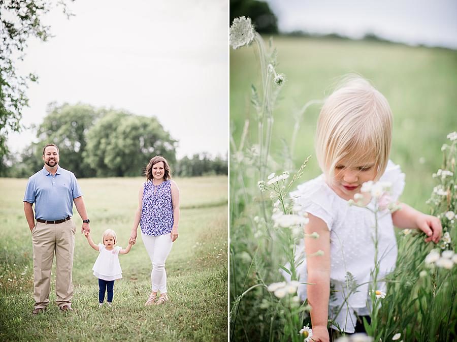 Wildflowers at this 2018 Favorite Portraits by Knoxville Wedding Photographer, Amanda May Photos.