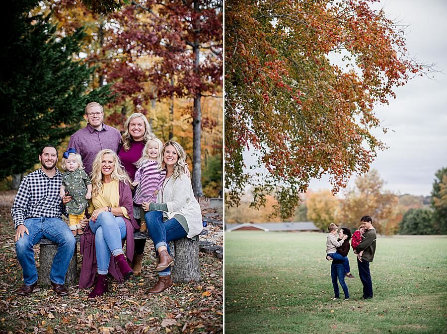 The whole family at this 2018 Favorite Portraits by Knoxville Wedding Photographer, Amanda May Photos.