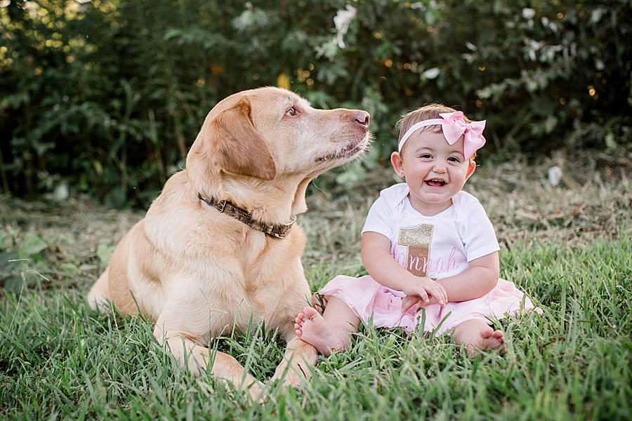 Yellow lab at this 2018 Favorite Portraits by Knoxville Wedding Photographer, Amanda May Photos.