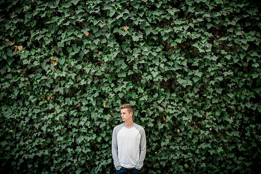 Ivy wall at this 2018 Favorite Portraits by Knoxville Wedding Photographer, Amanda May Photos.