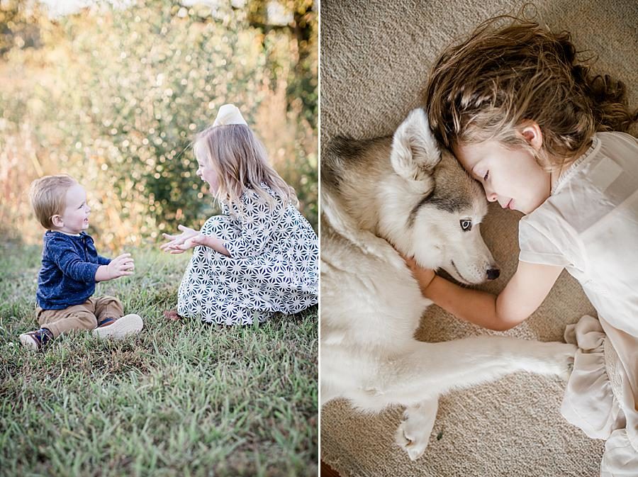 Huskey at this 2018 Favorite Portraits by Knoxville Wedding Photographer, Amanda May Photos.
