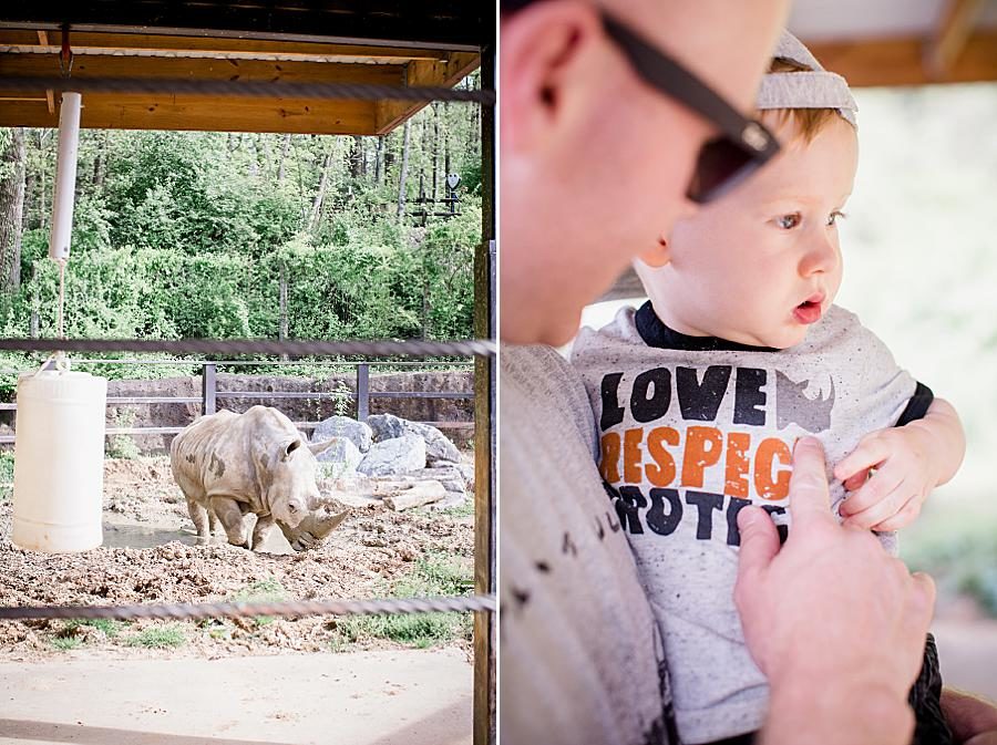 Rhinoceros at this Family by Knoxville Wedding Photographer, Amanda May Photos.