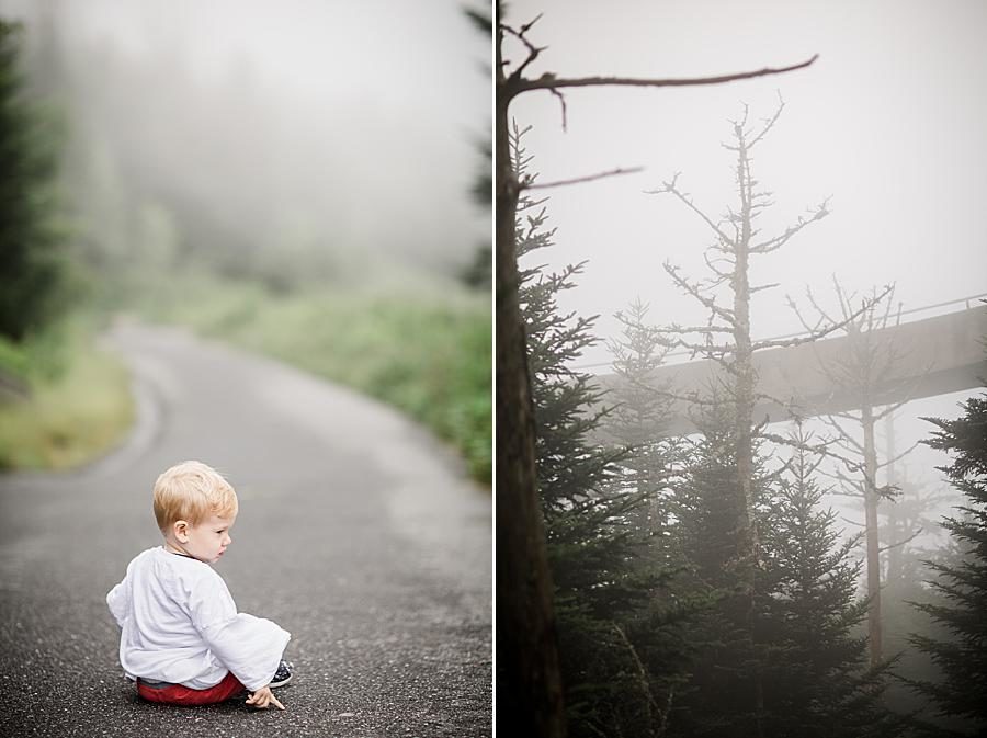 Clingman's Dome at this Family by Knoxville Wedding Photographer, Amanda May Photos.