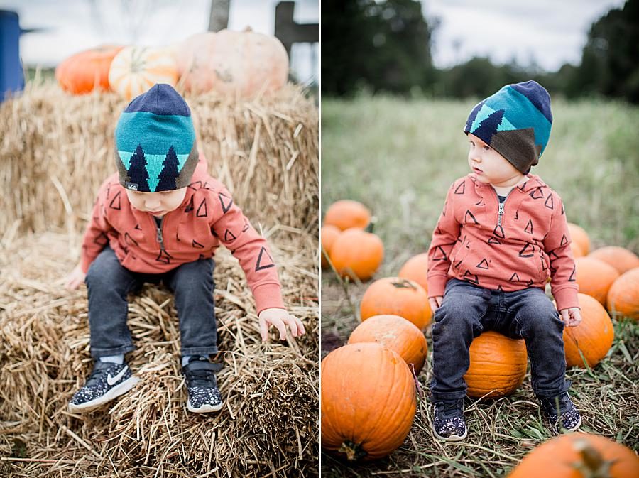 Sitting on a pumpkin at this Family by Knoxville Wedding Photographer, Amanda May Photos.