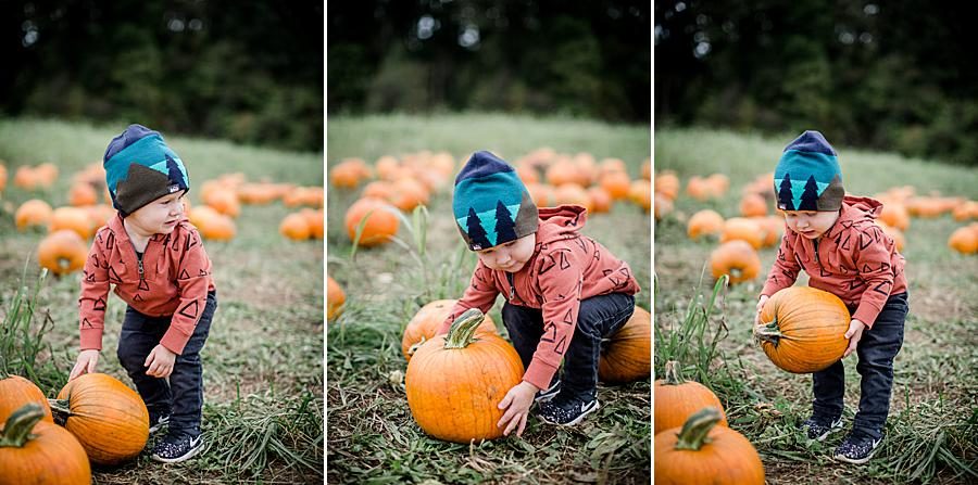Picking a pumpkin at this Family by Knoxville Wedding Photographer, Amanda May Photos.