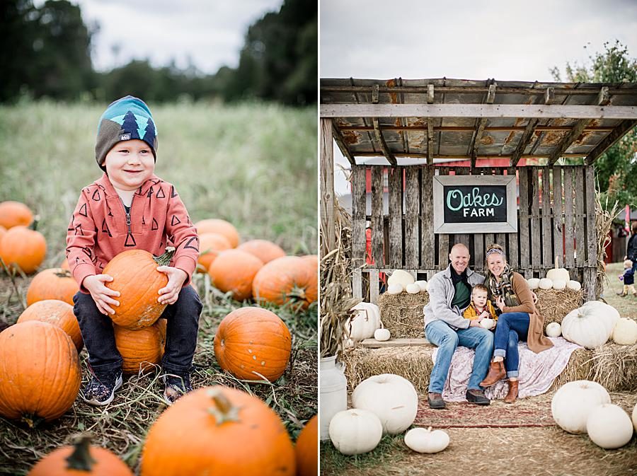 Oakes Farm at this Family by Knoxville Wedding Photographer, Amanda May Photos.