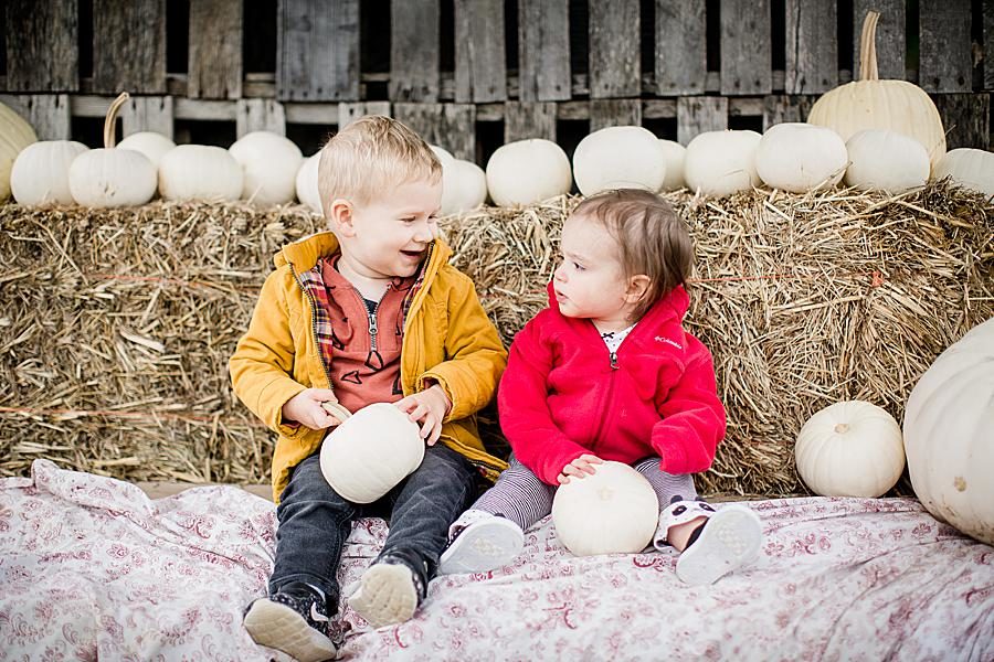 White pumpkins at this Family by Knoxville Wedding Photographer, Amanda May Photos.