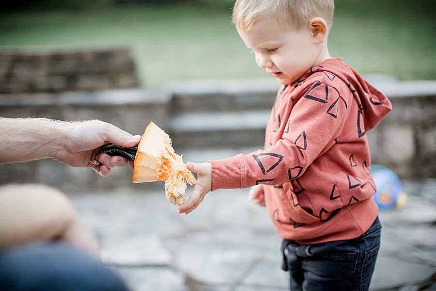Touching pumpkin seeds at this Family by Knoxville Wedding Photographer, Amanda May Photos.