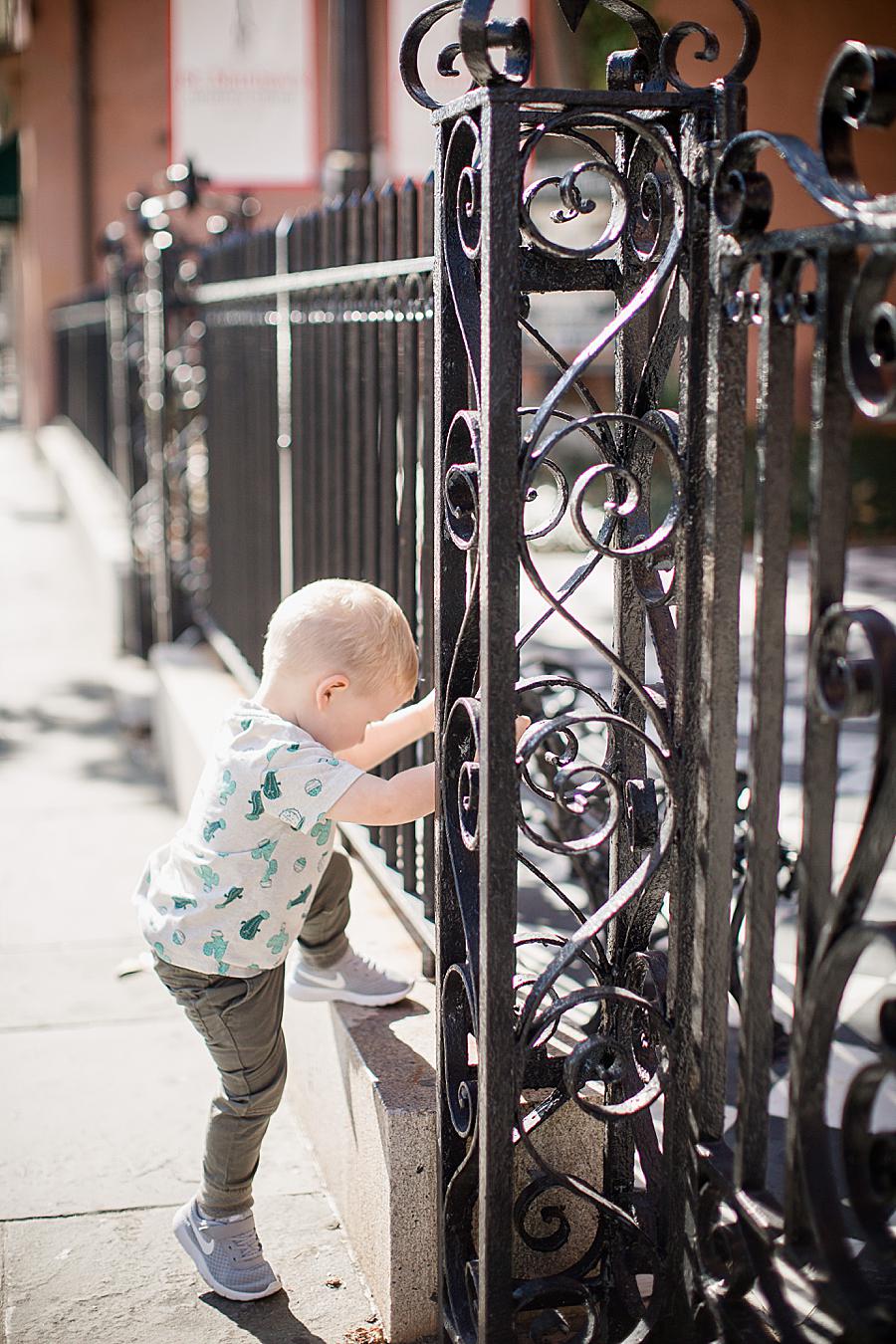 wrought iron gate at this Family by Knoxville Wedding Photographer, Amanda May Photos.