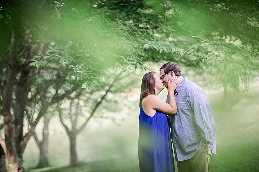 Through the leaves at this Whitestone Country Inn Engagement Session by Knoxville Wedding Photographer, Amanda May Photos.