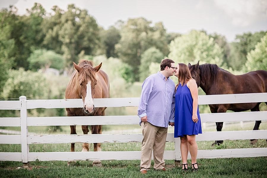 By the horses at this Whitestone Country Inn Engagement Session by Knoxville Wedding Photographer, Amanda May Photos.