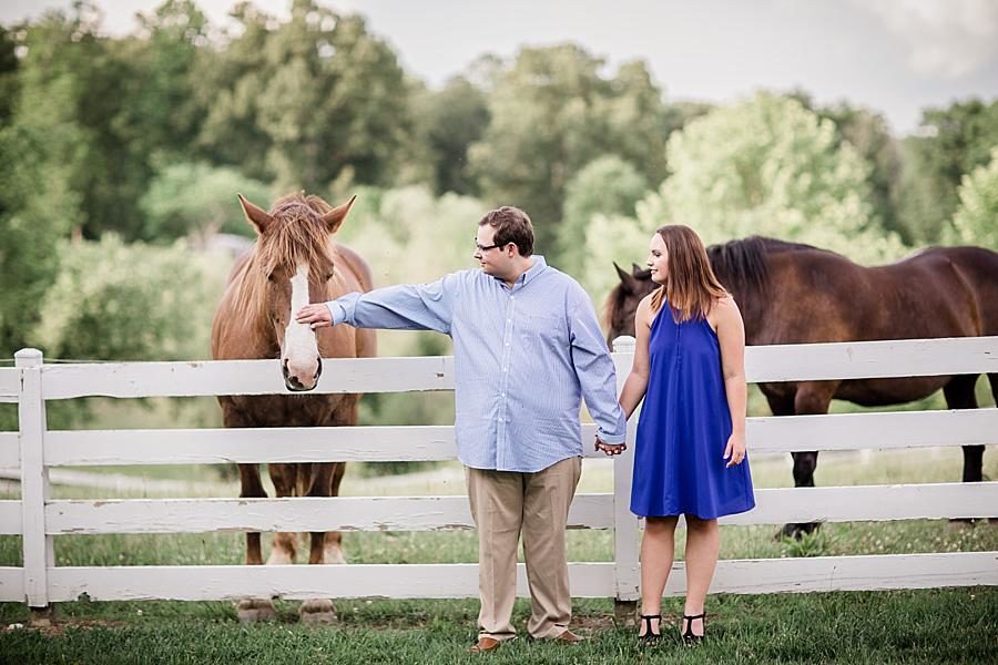 Petting the horse at this Whitestone Country Inn Engagement Session by Knoxville Wedding Photographer, Amanda May Photos.