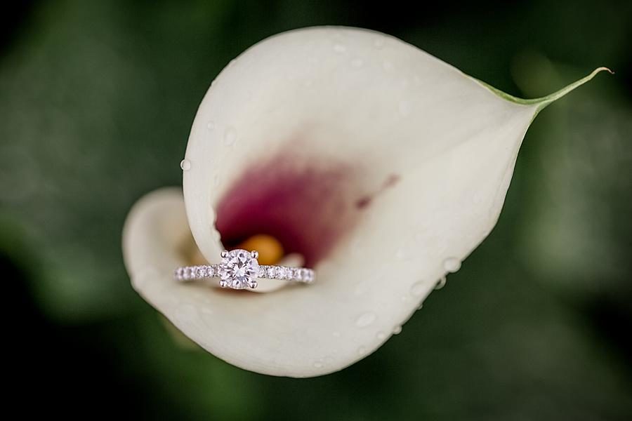 Engagement ring in a calla lily at this Whitestone Country Inn Engagement Session by Knoxville Wedding Photographer, Amanda May Photos.
