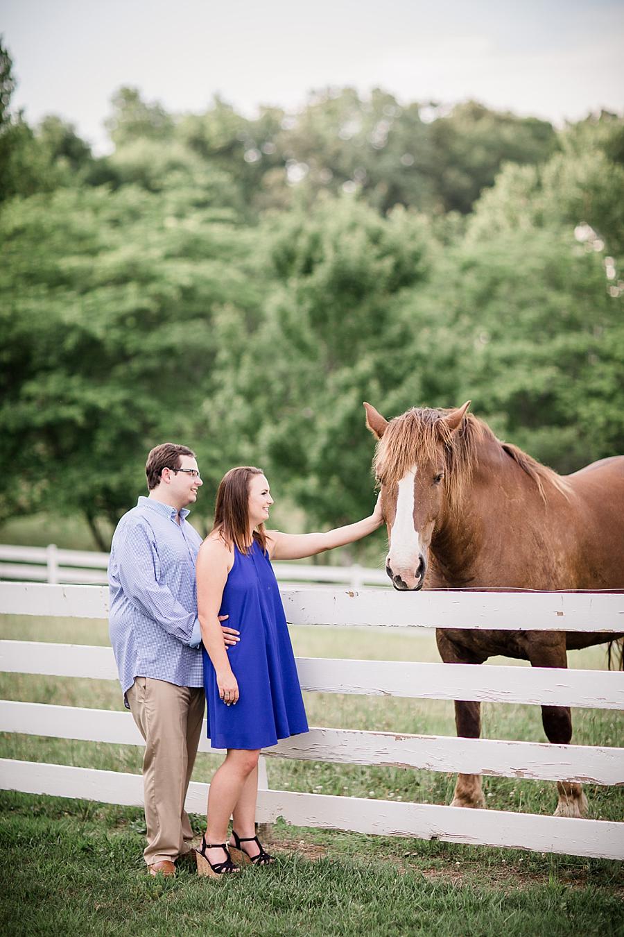 Bride petting the horse at this Whitestone Country Inn Engagement Session by Knoxville Wedding Photographer, Amanda May Photos.