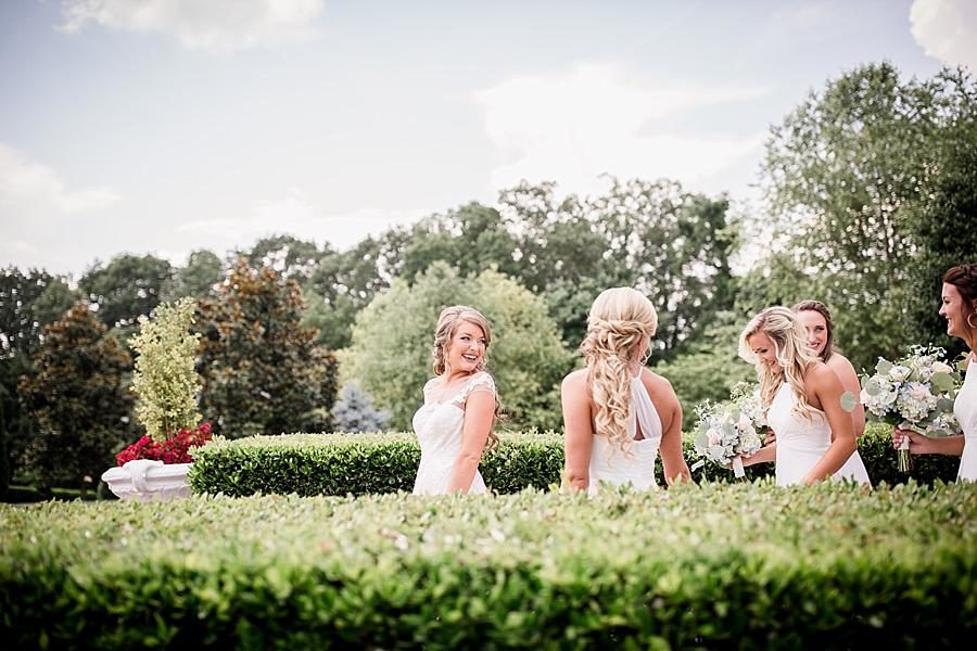 Manicured bushes at this Castleton Farms Wedding by Knoxville Wedding Photographer, Amanda May Photos.