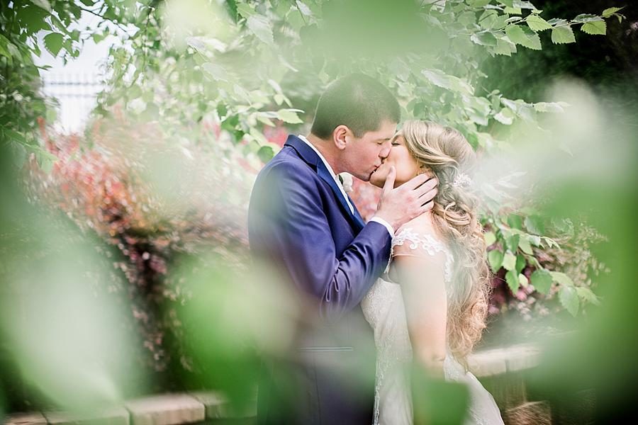 Through the trees at this Castleton Farms Wedding by Knoxville Wedding Photographer, Amanda May Photos.