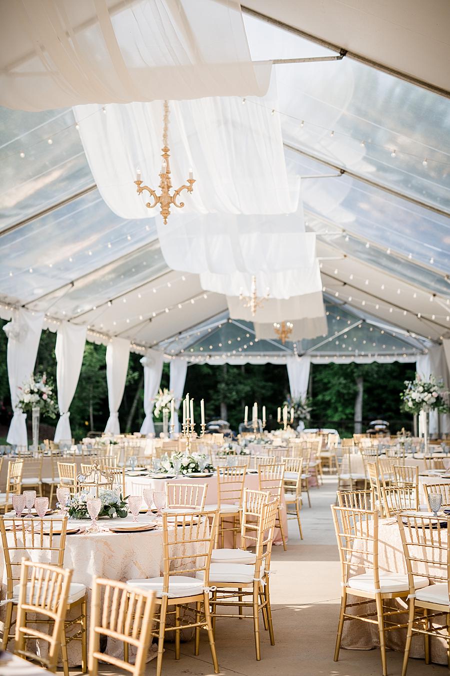 The tent at this Castleton Farms Wedding by Knoxville Wedding Photographer, Amanda May Photos.