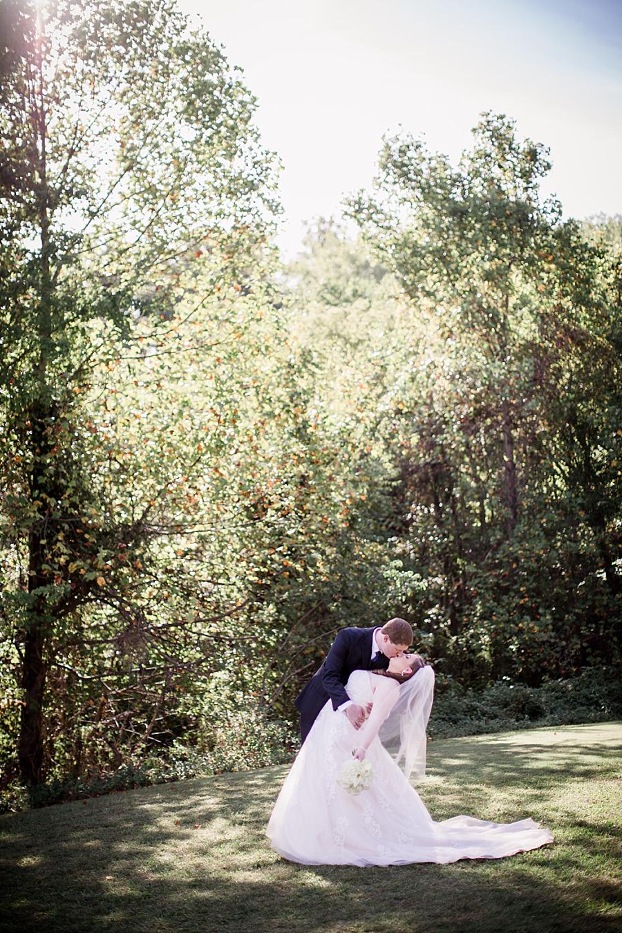 Kissing in sun at this Christopher Place wedding by Knoxville Wedding Photographer, Amanda May Photos
