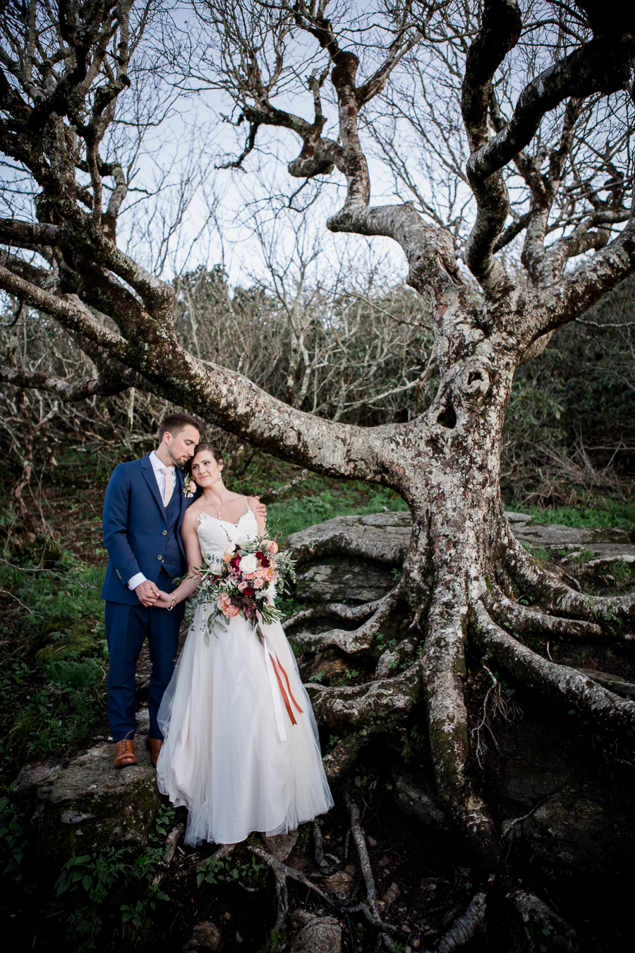 Bride and Groom hugging under bare tree at this North Carolina Elopement by Knoxville Wedding Photographer, Amanda May Photos.