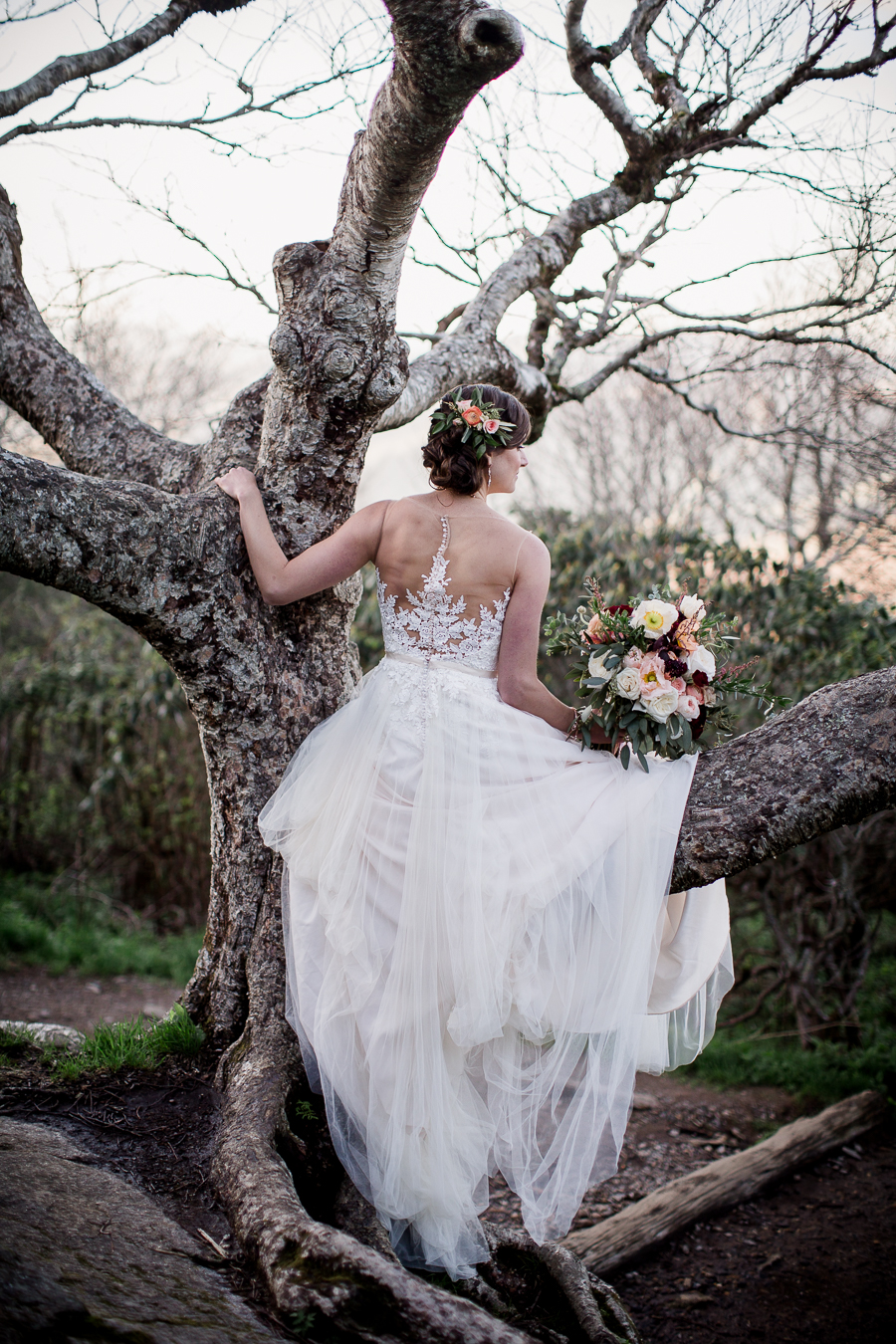 Bride posing in tree at this North Carolina Elopement by Knoxville Wedding Photographer, Amanda May Photos.