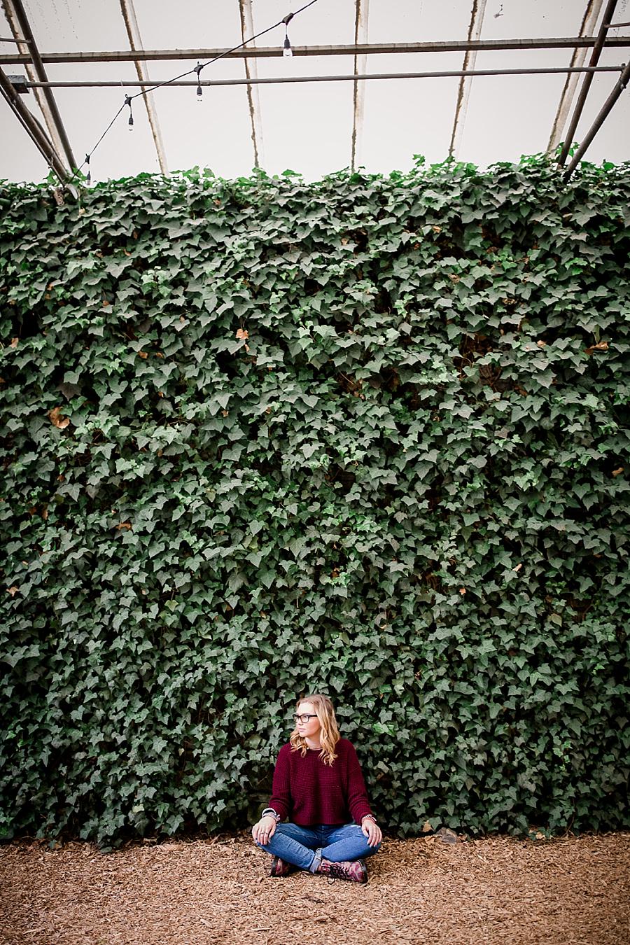 Ivy wall at this Knoxville Botanical Senior Session by Knoxville Wedding Photographer, Amanda May Photos.