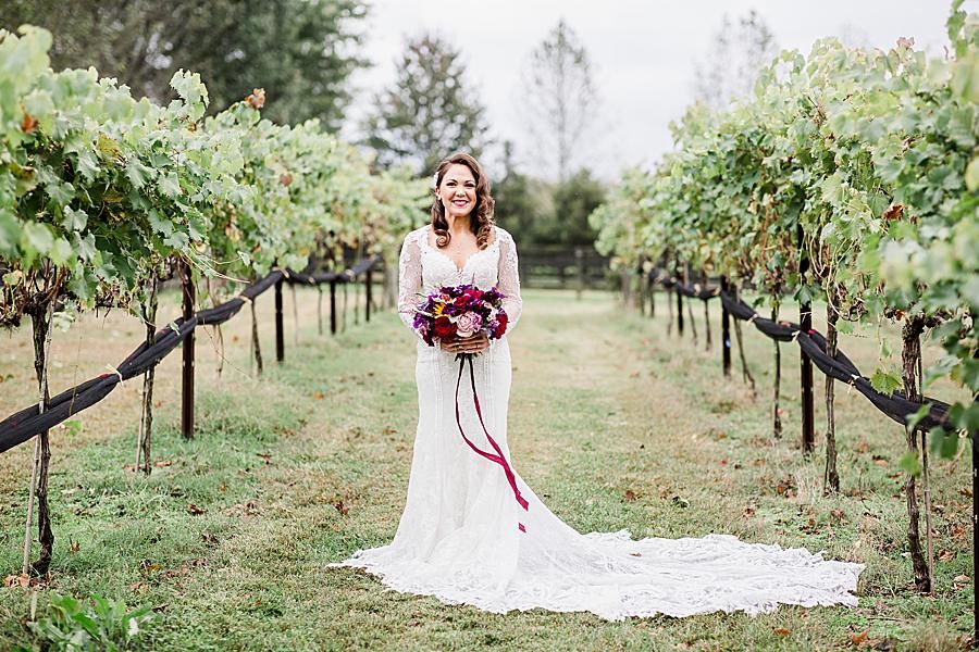 Bride in vineyard at this Arrington Vineyard wedding by Knoxville Wedding Photographer, Amanda May Photos.