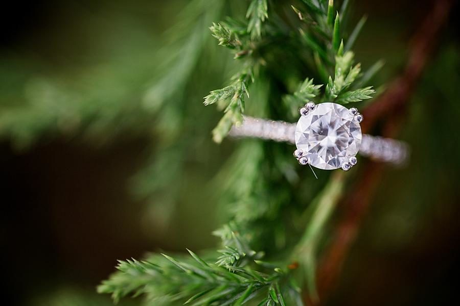 Engagement ring at this Family Farm Engagement Session by Knoxville Wedding Photographer, Amanda May Photos.