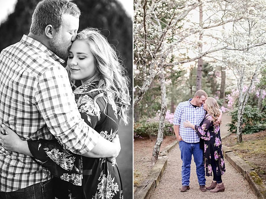 Black and white at this Baxter Gardens Engagement by Knoxville Wedding Photographer, Amanda May Photos.