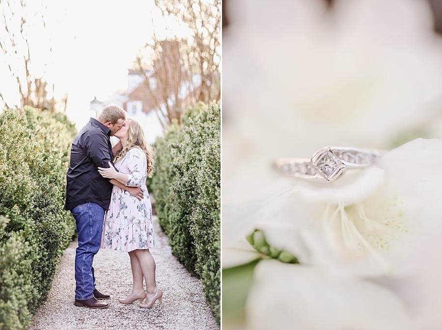 Engagement ring at this Baxter Gardens Engagement by Knoxville Wedding Photographer, Amanda May Photos.