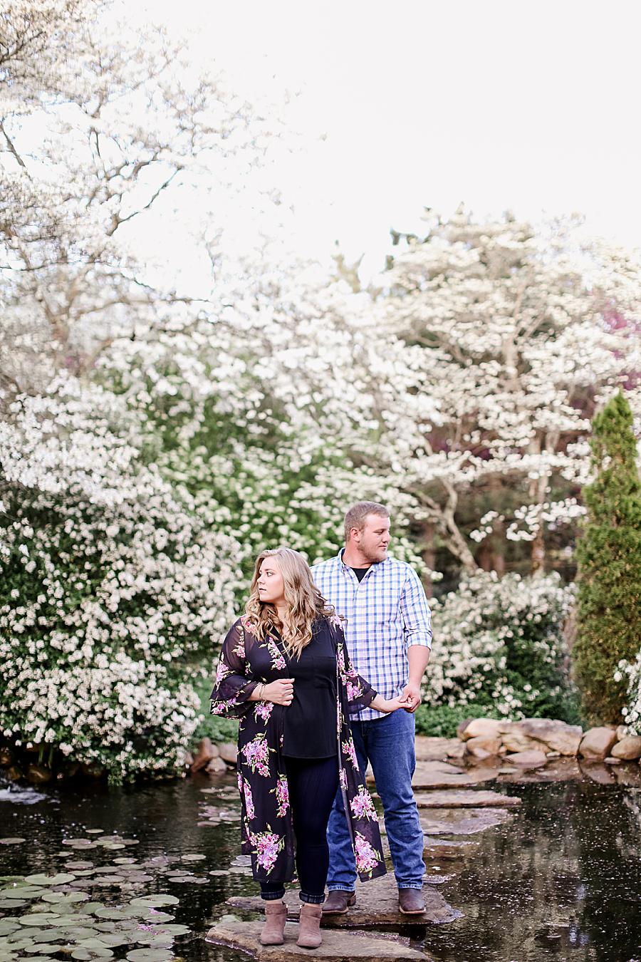 Dogwoods at this Baxter Gardens Engagement by Knoxville Wedding Photographer, Amanda May Photos.