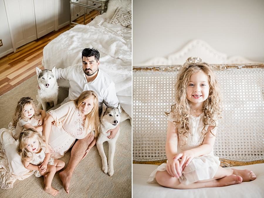 Huskies at this Lifestyle Maternity Session by Knoxville Wedding Photographer, Amanda May Photos.